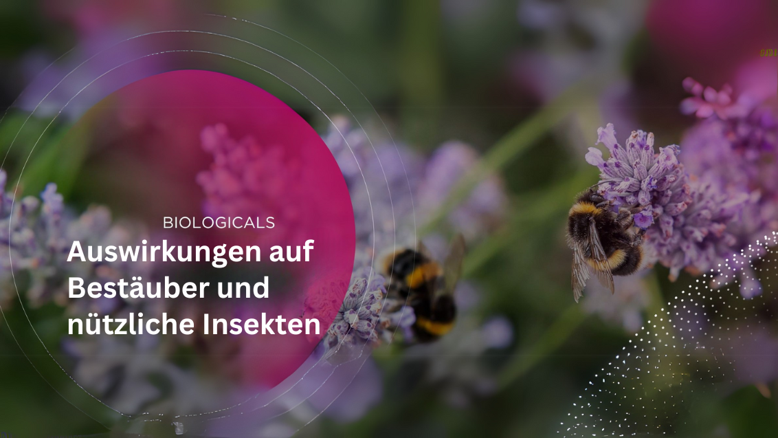 Auswirkungen auf Bestäuber und nützliche Insekten