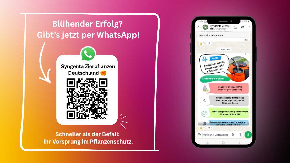 Whatsapp Zierpflanzen
