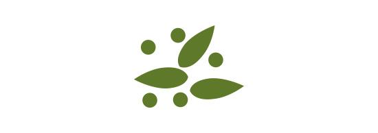 Syngenta Saatgut