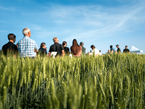Syngenta Feldtag