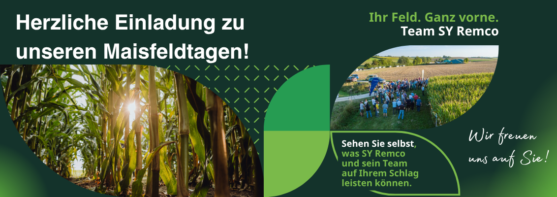 Grafik: Einladung zum Maisfeldtag, grünes Design mit Maisfeld-Foto und Textblöcken