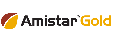 Amistar Gold