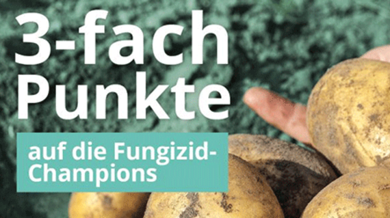 Bonusland Aktion Fungizid-Champions