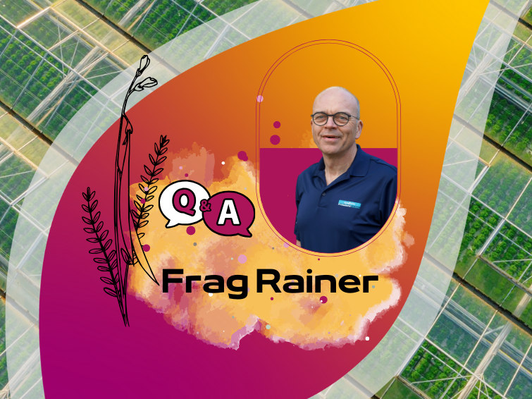 frag rainer