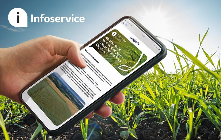 Infoservice