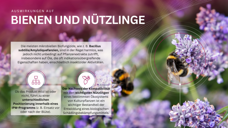 Auswirkungen auf Bestäuber und nützliche Insekten
