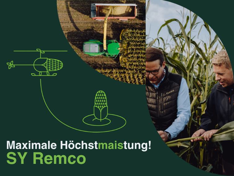 Helikopterflug mit SY Remco gewinnen