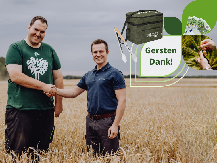 Gersten Dank Hyvido