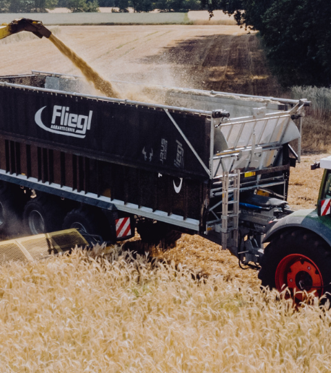 Triticale Mähdrescher lädt Getreide in Anhänger auf Feld; Traktor im Vordergrund, Luftaufnahme
