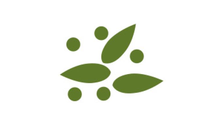 Syngenta Saatgut
