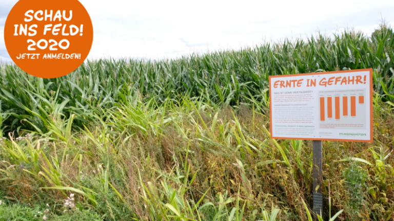 Schau ins Feld Aktion 2020