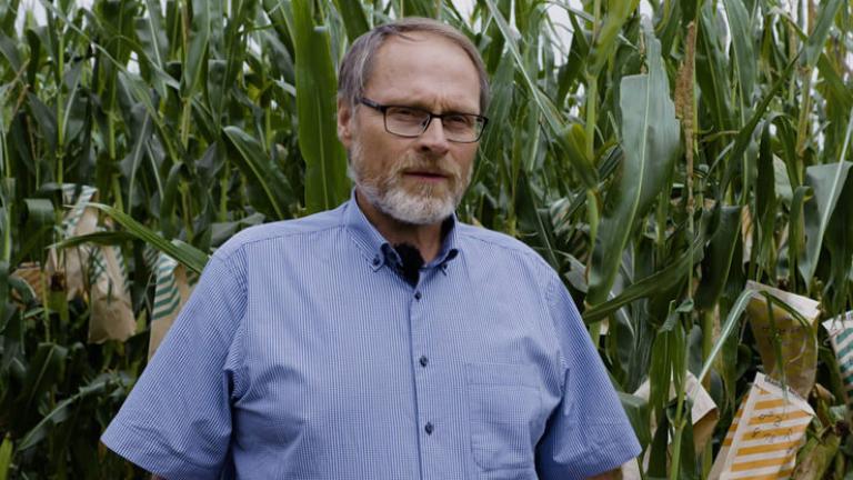 Christoph Mainka - Syngenta Maiszüchter