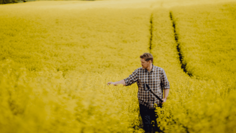 Raps Sorten von Syngenta