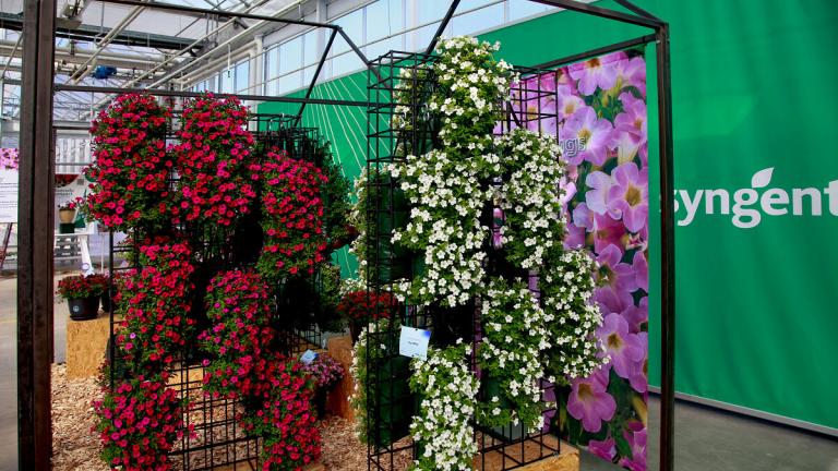 flowertrials