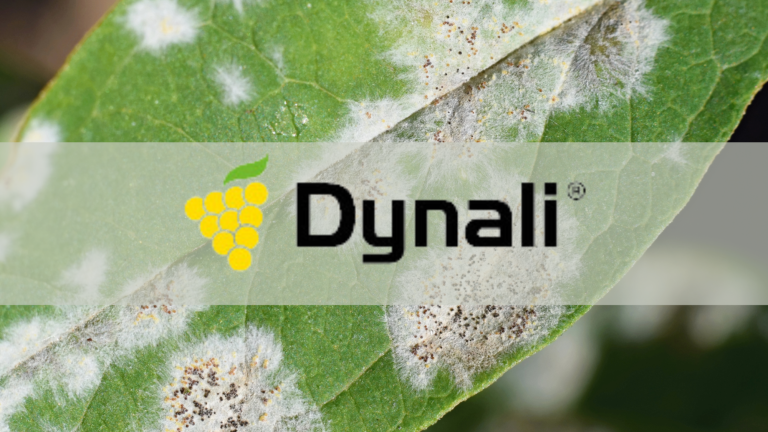 dynali