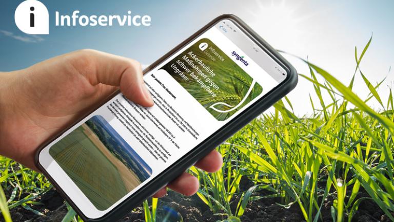 Infoservice