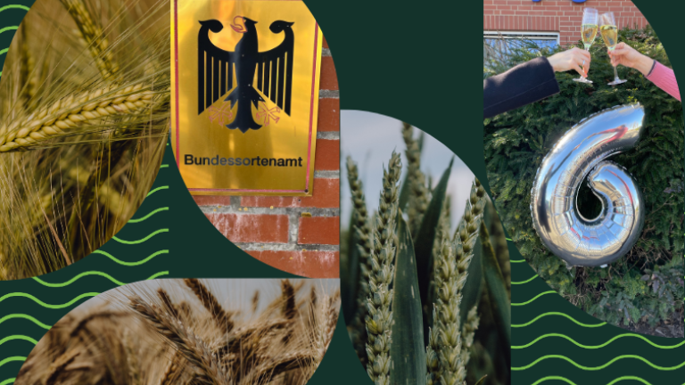 Zulassung 6 neuer Sorten