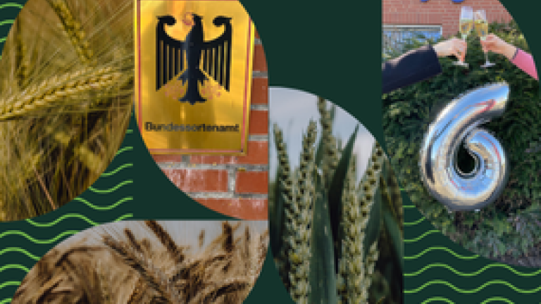 Zulassung 6 neuer Sorten