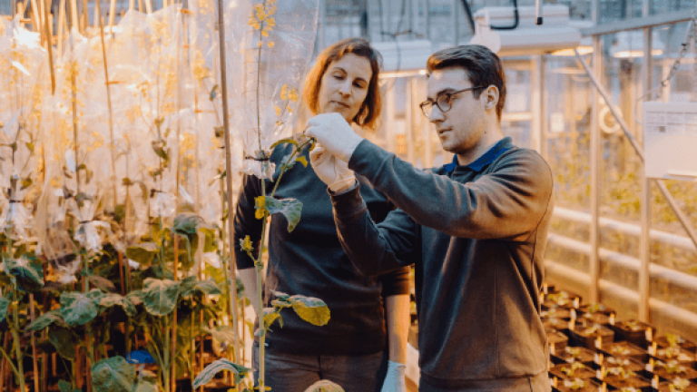 Ausbildung zum Pflanzentechnologen
