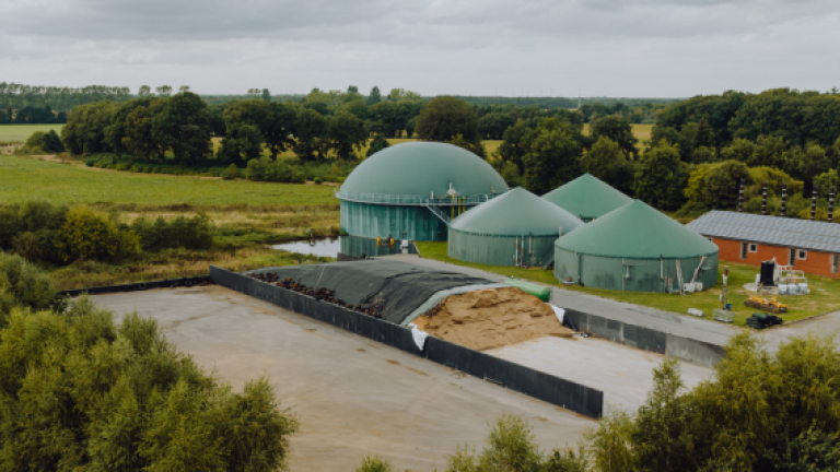 Biogasmais Sorten von Syngenta