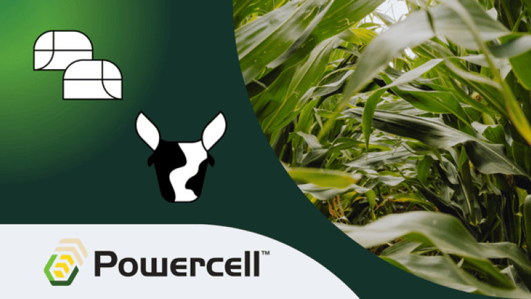 Maissorte Powercell, Silomais, Biogas