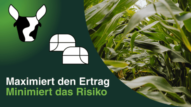 Maissorten MaxiMaize
