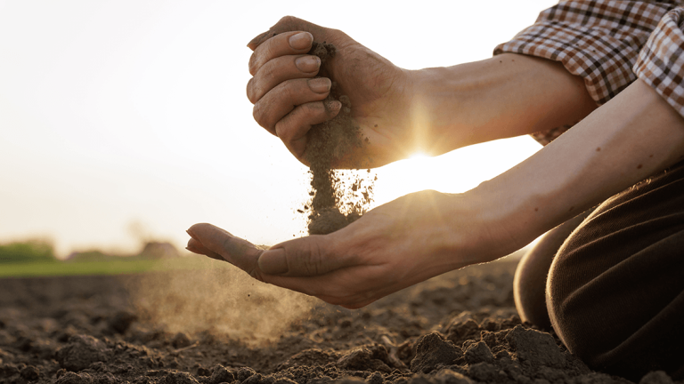Landwirt mit Erde in den Händen