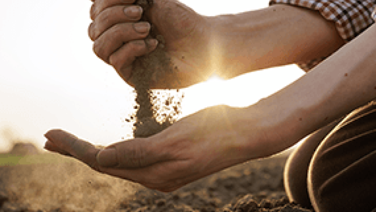 Landwirt mit Erde in den Händen
