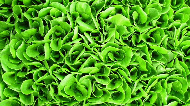 Salat