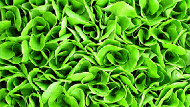 Salat