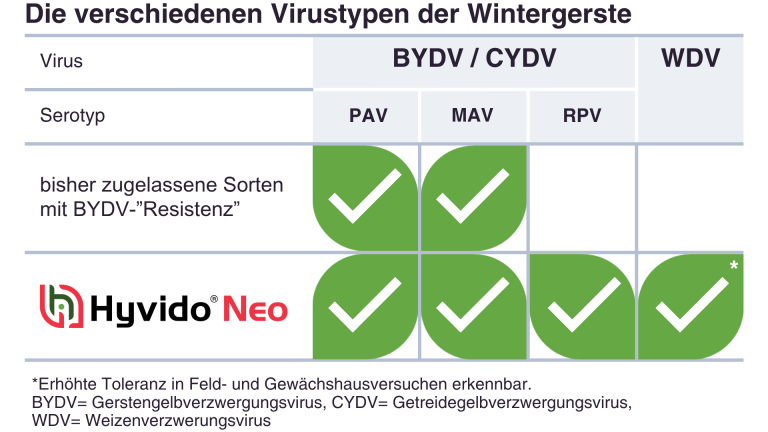 Serotypen Gerstengelbverzwergungsvirus