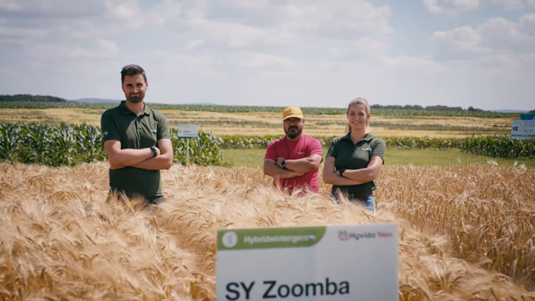 Wir leben Getreide Feld-Report I Gelbverzwergungsvirus in Gerste | Syngenta Seeds in Bad Salzuflen