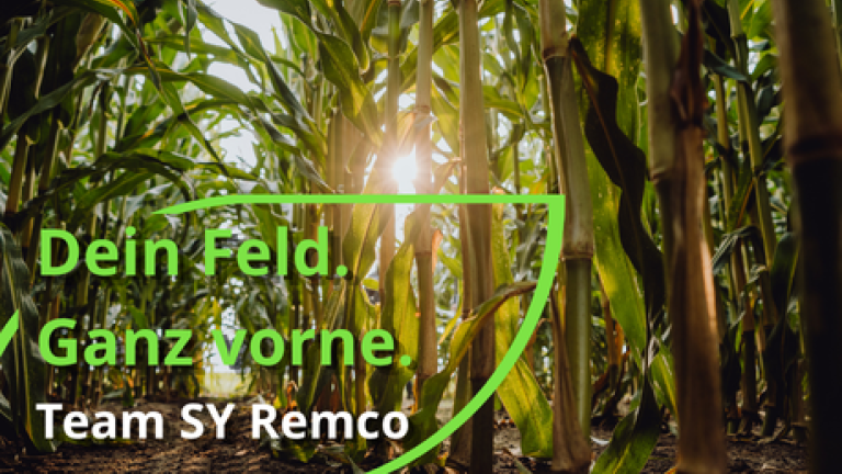 Sonnenlicht im dichten Wald; grüne Textgrafik „Dein Feld. Ganz vorne.“