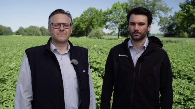 Kartoffel Feld-Report 2024 I Strategie für eine erfolgreiche Kartoffelsaison