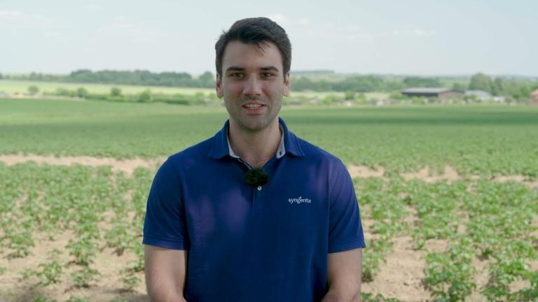 Kartoffel Feld-Report 2023 – Hitzestress bei Kartoffeln