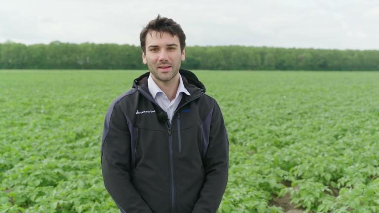 Kartoffel Feld-Report 2023 | Der Spritzstart in Kartoffeln