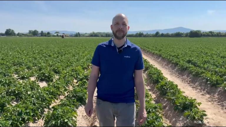 Kartoffel Feld-Report 2025 | Spritzstart in der Kartoffel