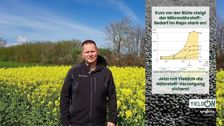 Virtuelle Feldbegehung Schleswig-Holstein | Winterraps und Wintergerste bis zur Ernte schützen!