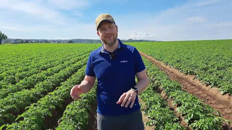Kartoffel Feld-Report 2026 | Spritzstart in der Kartoffel