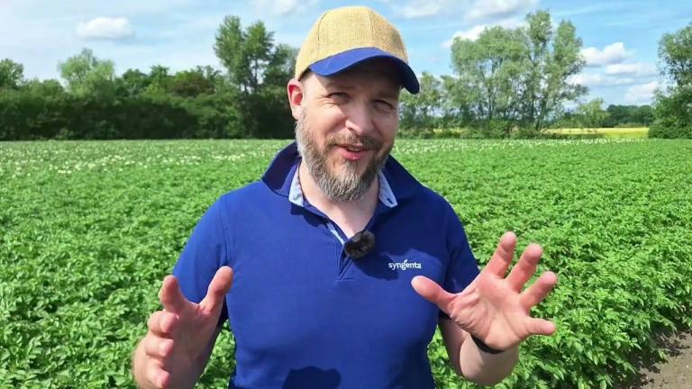 Kartoffel Feld-Report 2026 | Starkes Wachstum in der Kartoffel – jetzt dranbleiben!