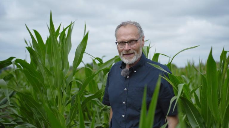 Syngenta Seeds | SY Remco - Der Film | Der neue Silo- und Biogasmais mit Extrapower | Mais Züchtung