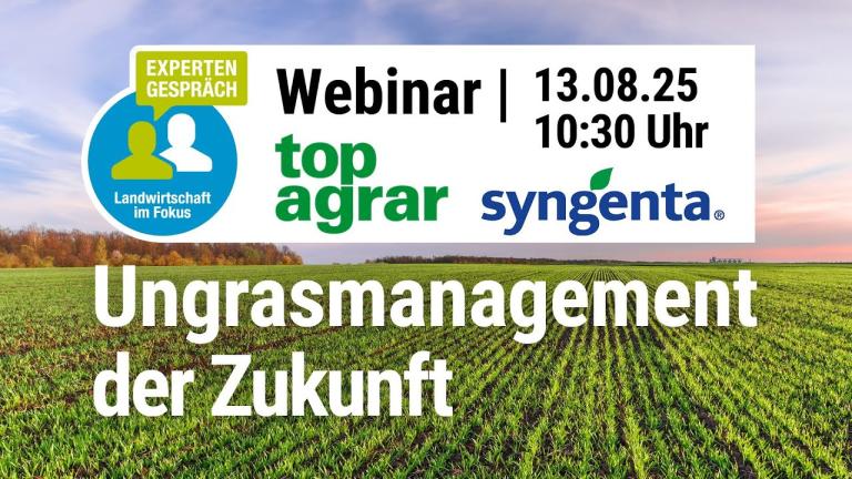 Das Ende für Flufenacet: Wie sieht das Ungrasmanagement der Zukunft aus?