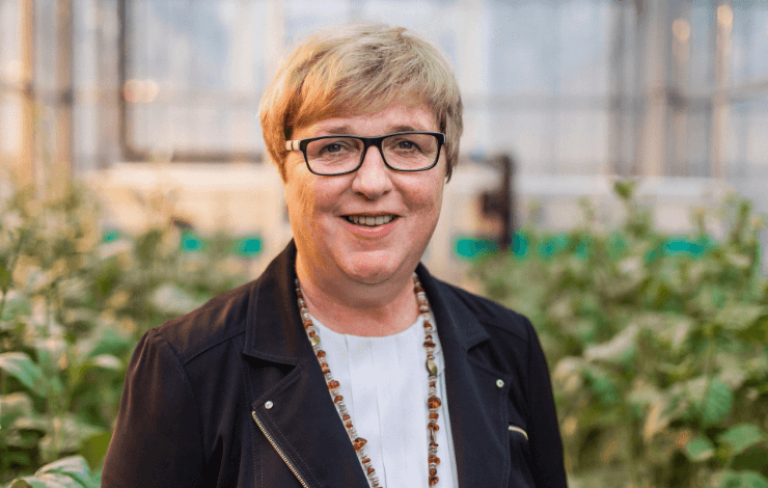 Heike Köhler Syngenta Seeds