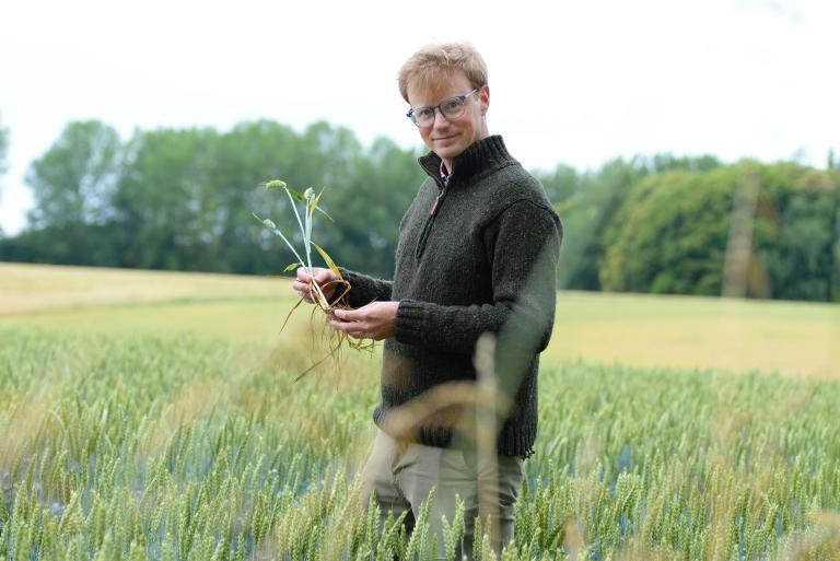 Regenerative agriculture at Jolly Farm means covering the soil as much as possible