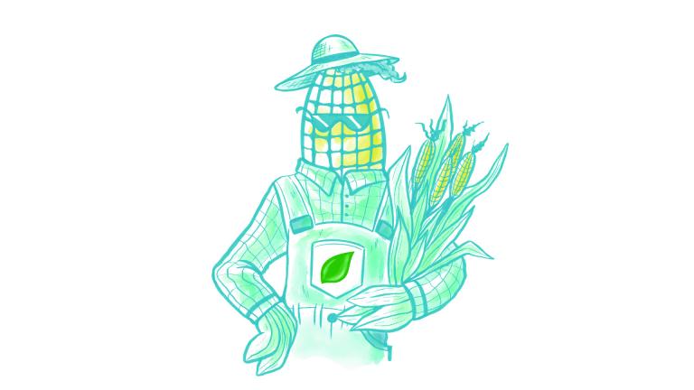 Illustration Mister Mais