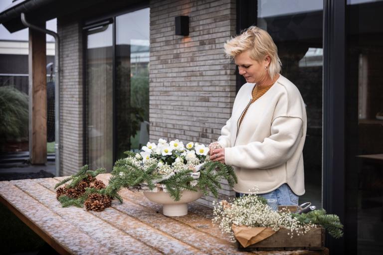 Syngenta Christrosen werden zu Blumenschmuck