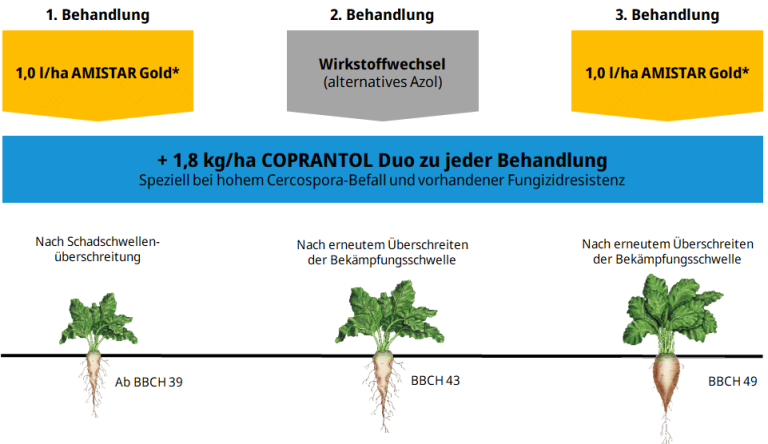 Einsatzempfehlung von Coprantol Duo in der Zuckerrübe