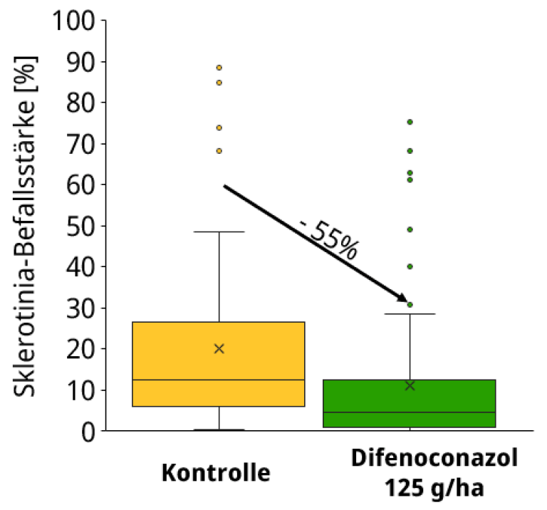 Difenoconazol: Ein unterschätzter Baustein gegen Sklerotinia