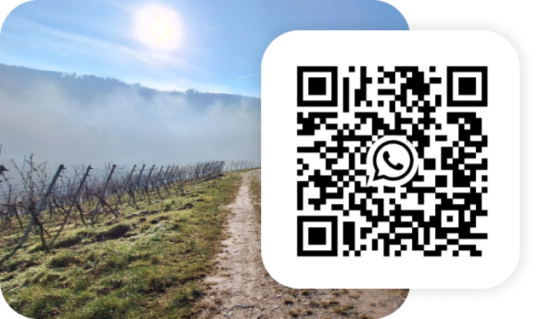 Rebschutz-Info - WhatsApp Kanal