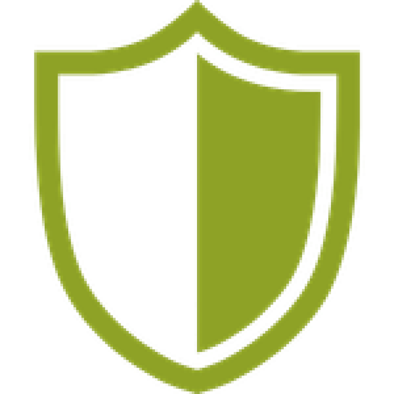 Grünes Schildsymbol auf schwarzem Hintergrund, Umriss und Mittelstreifen